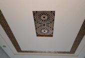 جباص ماهر و فنان