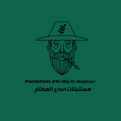 تصميم شعار ممتاز وأنيق لمشروعك