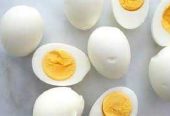بيع البيض البلدي من البادية Selling organic eggs from badia