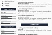 تصميم الاعلانات, بطاقات شخصية, سيرة ذاتية