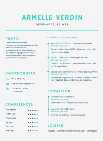 كتابة وتصميم سيرة ذاتية(CV)مميزة بأحترافية ودقة عالية