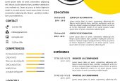 تصميم الاعلانات, بطاقات شخصية, سيرة ذاتية