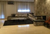 صباغة وديكور لمنزلي