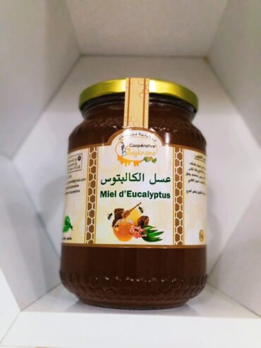 عسل الكالبتوس