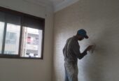 صباغ متخصص ومحترف