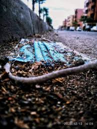 إحتراف التصوير