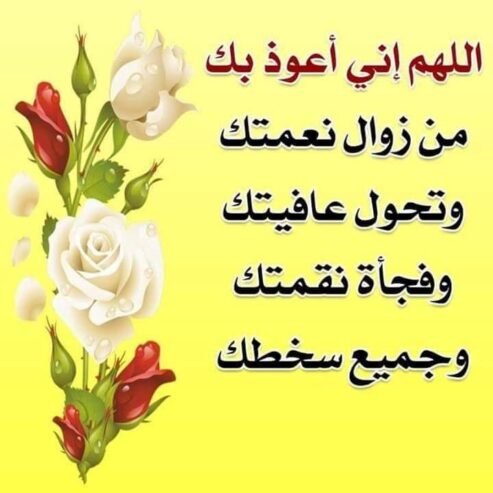 مراجعة و دعم ابتدائي